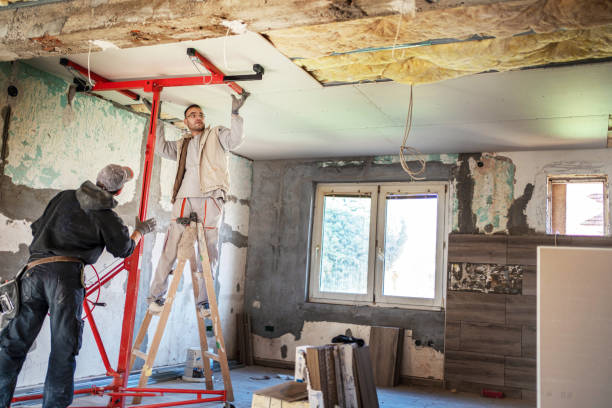 Best DIY Insulation Kits and Guidance in Birngham, MI