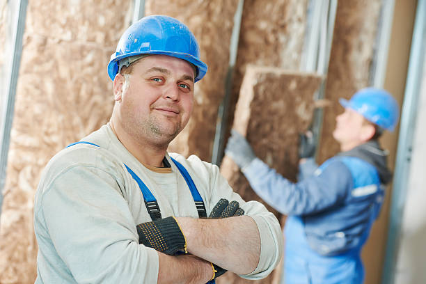 Best Insulation Maintenance and Repair in Birngham, MI